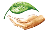 leaf and hand logo